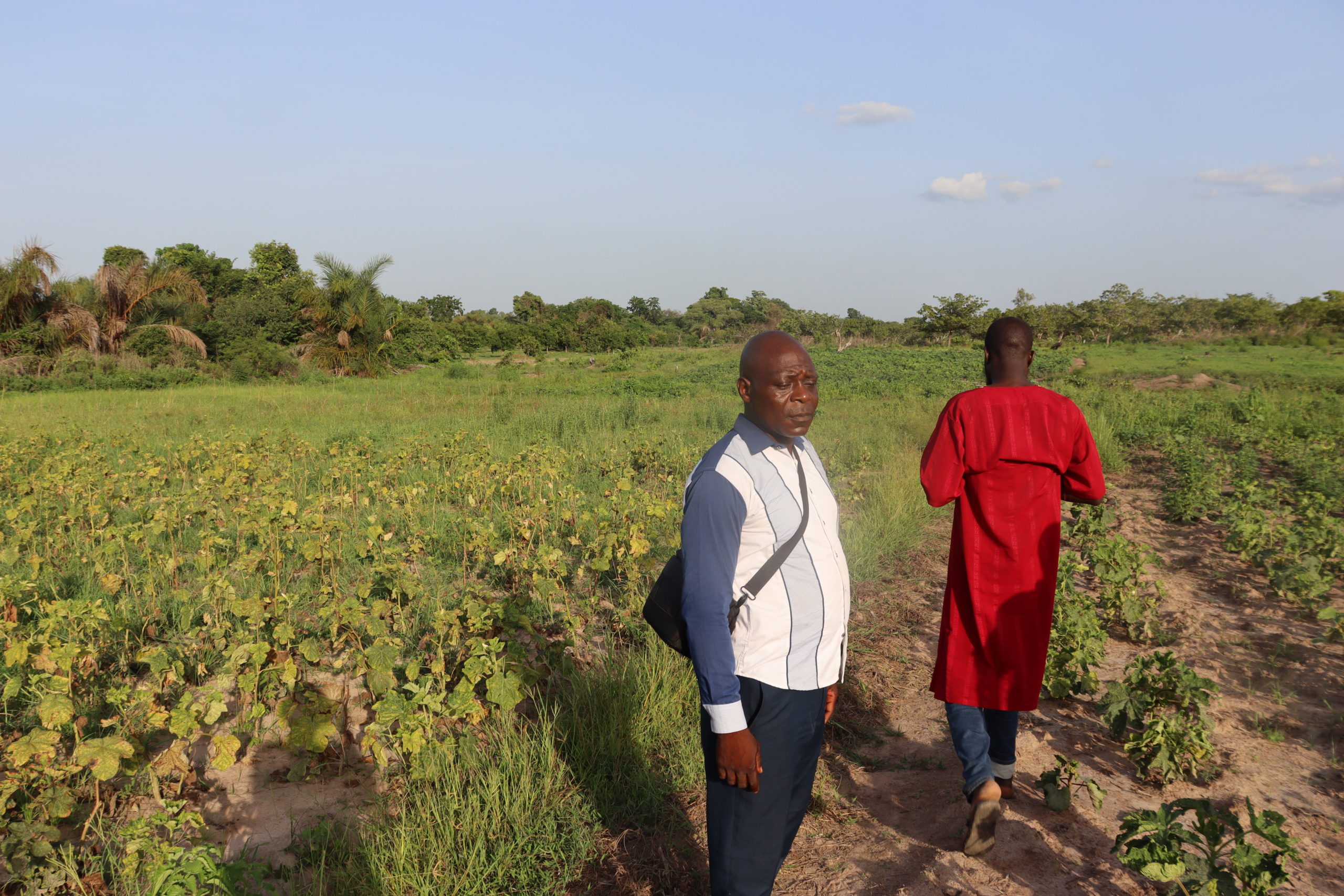 Un conseiller agricole et un producteur parcourant une parcelle maraîchère