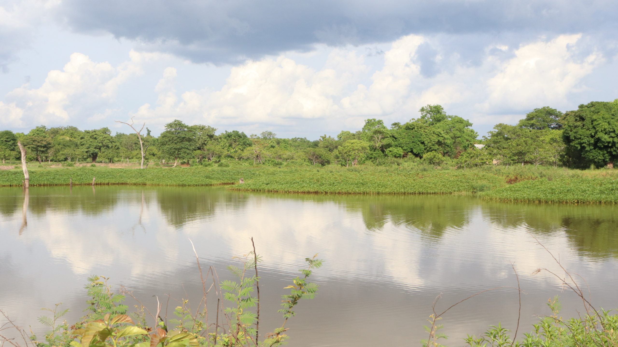 Périmètre maraîcher du projet dans le nord du Bénin.